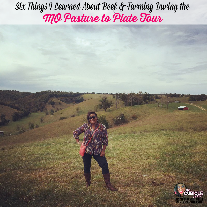 Six Things I Learned About Beef & Farming During the MO Pasture to Plate Tour