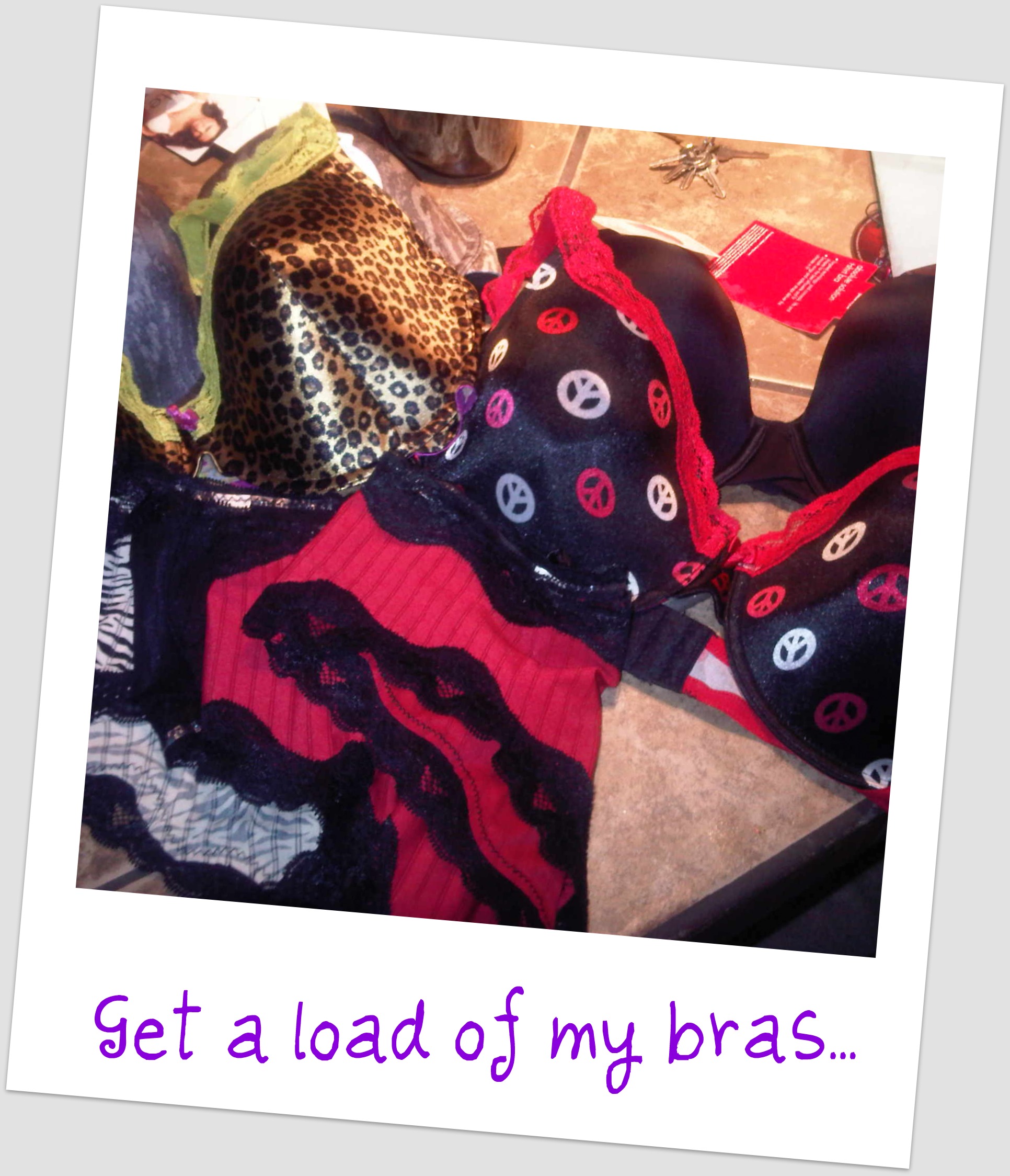 Wordless Wednesday: A Good Bra is Hard to Find