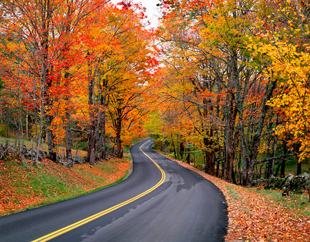 Labor Day Signals End of Summer: Fall, Come Forth