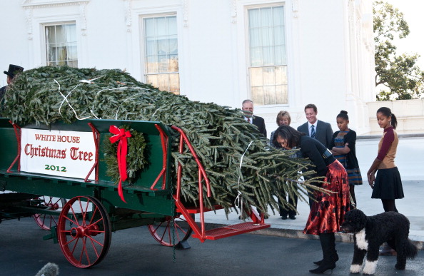 Michelle, Malia, & Sasha Greet the Official White House Christmas Tree