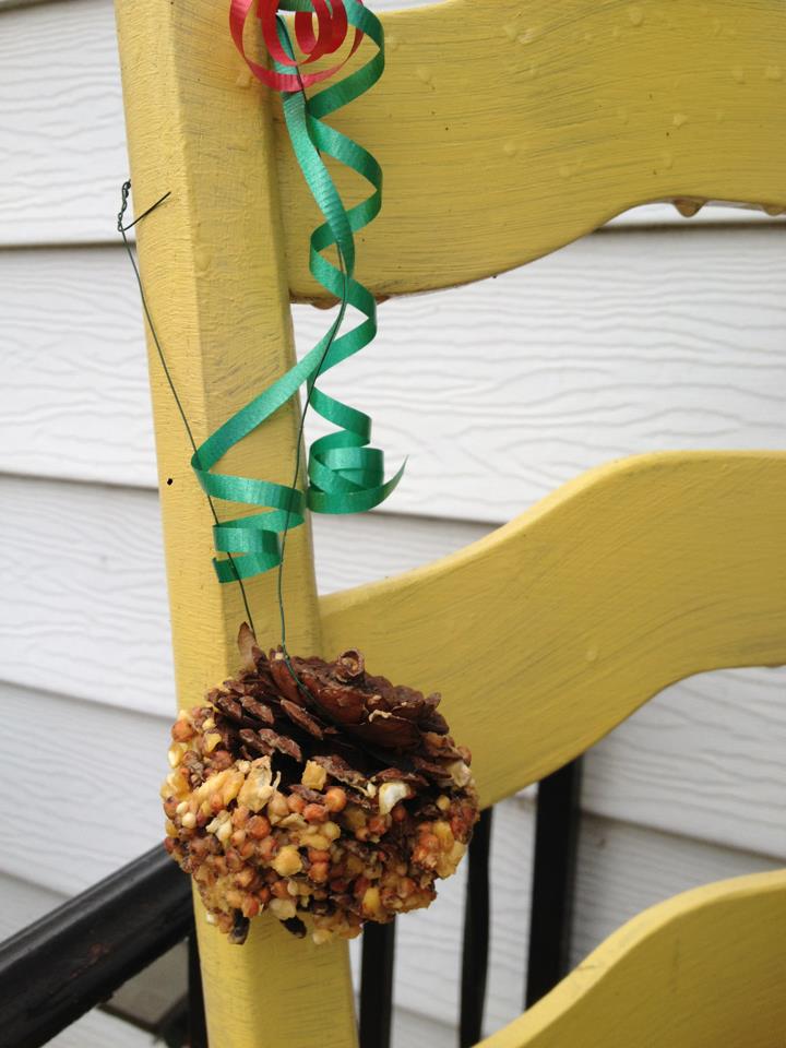 Winter Boredom Buster: DIY Pinecone Birdfeeder