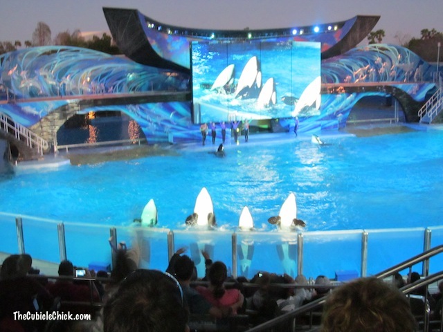 Family Vacation: Sea World Orlando Is More Than Shamu