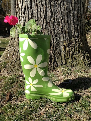The Frugal Gardener: Savvy and Sensational Shoe Planters