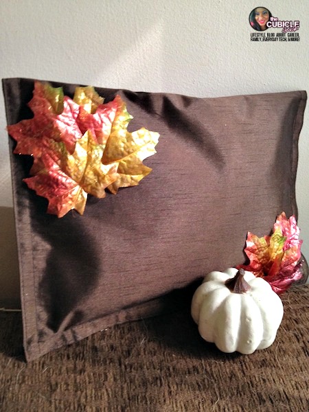 DIY Frugal Fall No Sew Pillow