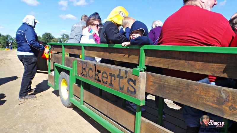 Eckert's Farm October