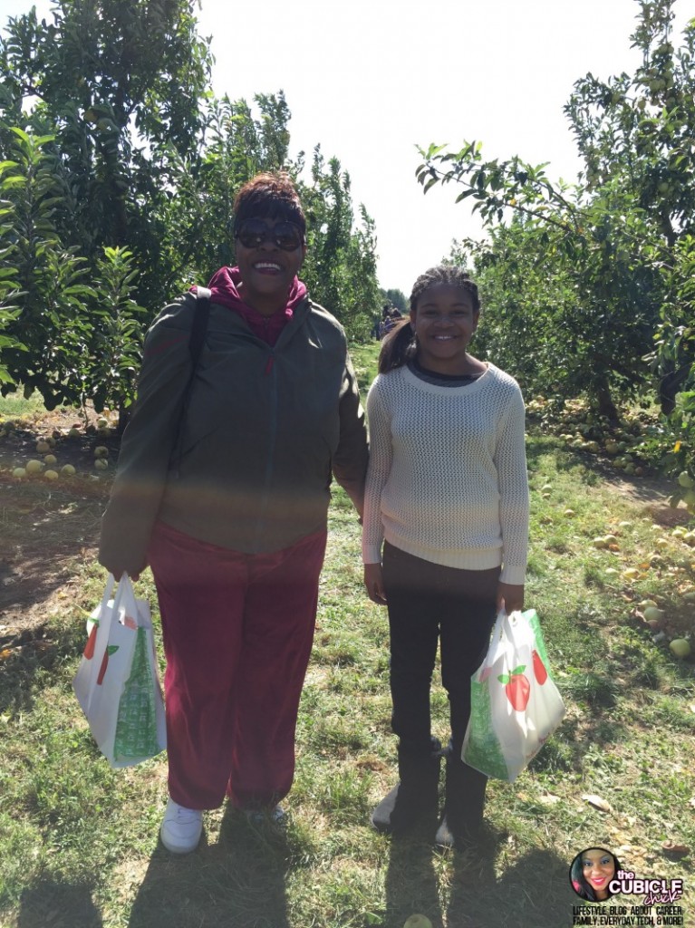 Eckert's Farm apple picking fall