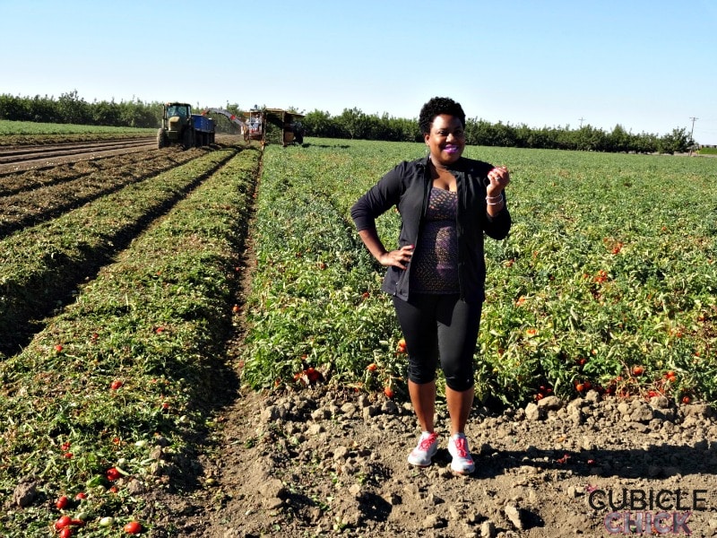 Tomatoes, Peppers, and Melons, Oh My! How I Am Eating Healthier (Sponsored) #FarmToPlate