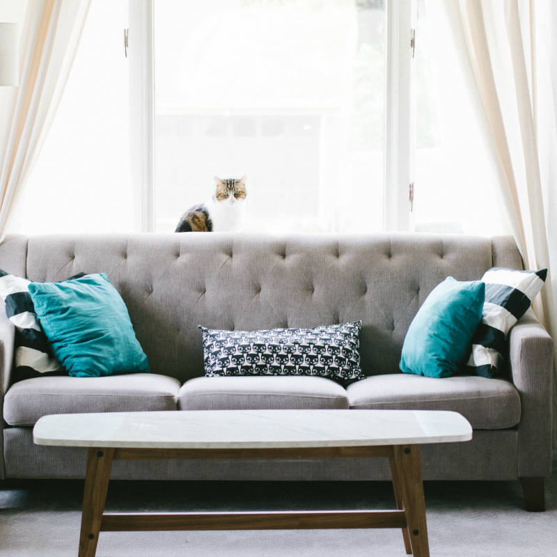 How The Furniture In Your Home Can Really Alter Your Life