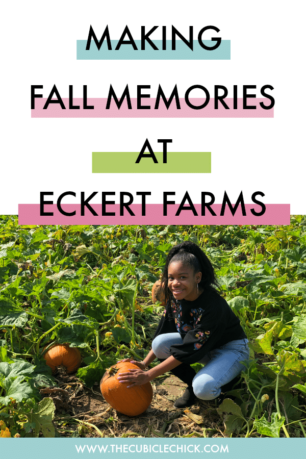 When you have a teen, it becomes even more important to cherish time together. Read how my teen and I made Fall memories during a trip to Eckert Farms.