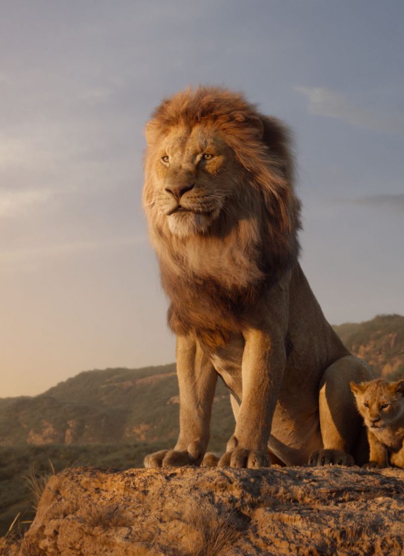 The New Lion King Trailer Is Here and I Am Getting My Whole Life