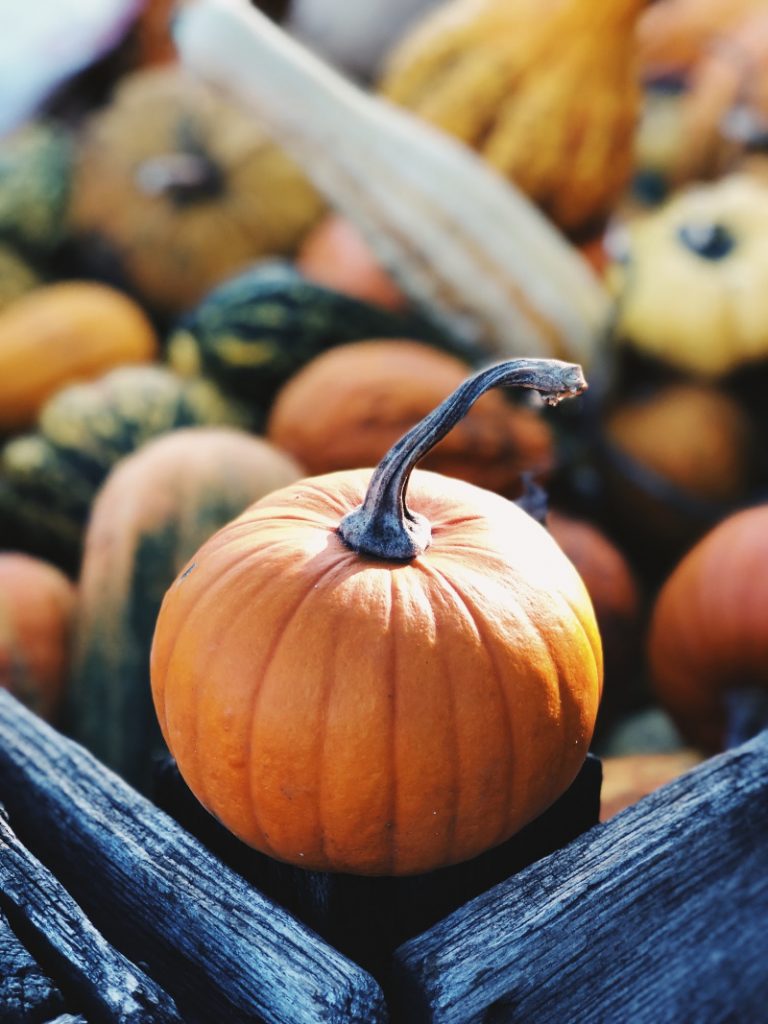 As working mamas who juggle a lot, we all have our highs and lows. Life is like pumpkins in that way---we have our season. What will you do with yours?