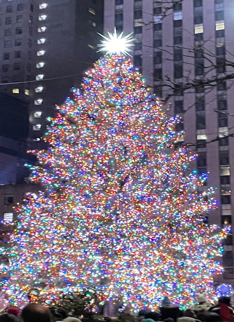 Here are a few additional things to keep in mind when visiting the Rockefeller Center Christmas Tree: Try to visit during off-peak times (weekdays are best) as it isn't as crowded. I visited on a Saturday evening and there were a lot of people there. If I do this again, it will be during an off-peak time. Bundle up because New York nights can get cold. Make sure to layer and bring a hat, scarf, and gloves, especially if you plan on skating. Bring someone with you so you can try to get the best shot possible. Selfies are very hard to take with a tree this size. Be patient. Even during off-peak hours, there still will be plenty of people on the scene who all are vying to take photos in front of the iconic tree.