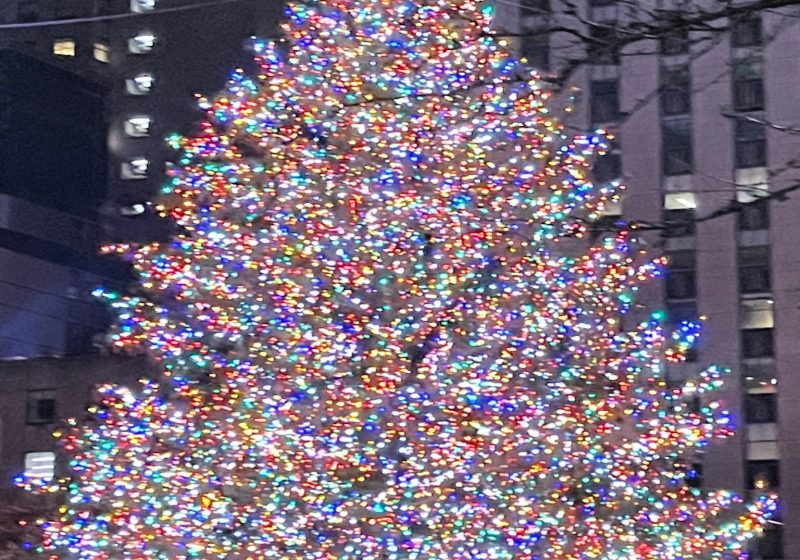 The Magic of the Rockefeller Center Christmas Tree