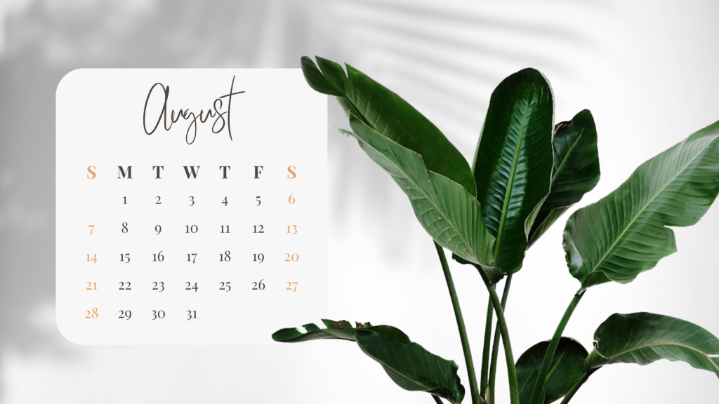  Download my 2022 August Desktop Calendar Freebie that will help bring some clarity to your wallpaper situation.