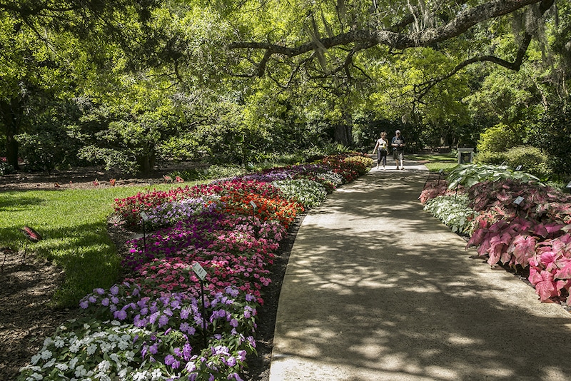Planning a vacation to Orlando? Look no further! I am sharing the best places to shop and explore. Read this to prepare for your trip!